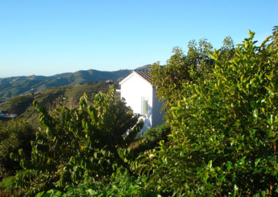 G04 - The villa between avocado and fruit trees.