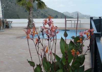 G24 - Pool with views to Frigiliana and the sea.