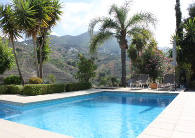 G55 - Fantastic pool surrounded by palm trees and garden.