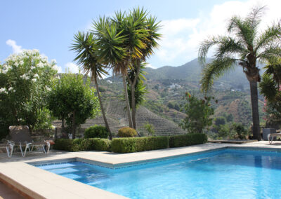 G55 - Lækker pool omgivet af palmer og have.