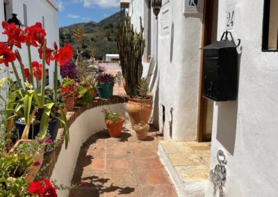 R07 - Terrace in front of the house