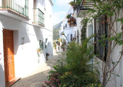 R15 - The street <br>Teresa de Avila