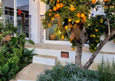 B02 - fruit trees