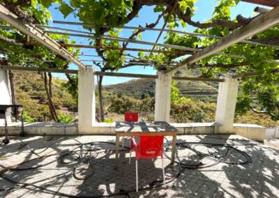 G418 - terrasse foran huset mod syd
