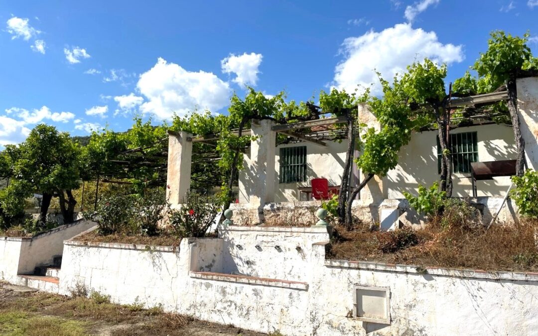 G418 – Casa Piedras Blancas