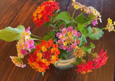 G422 - freshly picked flowers