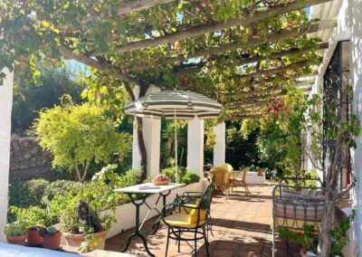 G13 - terrace with grapevines